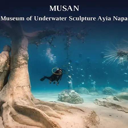 Bridge Seaview 빌라